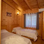 Shpija E Gjyshit 3*