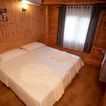 Shpija E Gjyshit