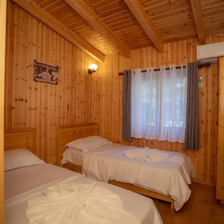 Shpija E Gjyshit 3*